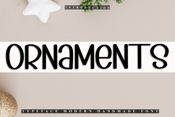Ornaments Font: Adding Festive Charm to a Boutique Brand Identity